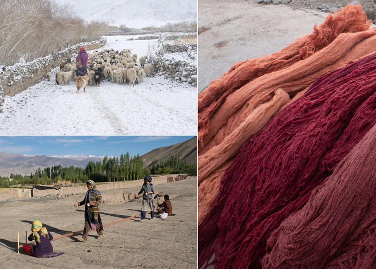 Image Credit: Looms of Ladakh